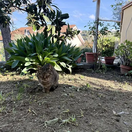 Host4u - Casa Con Giardino E Parcheggio Privato - Casa Carla *