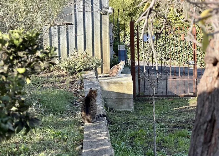 Host4u - Casa Con Giardino E Parcheggio Privato - Casa Carla Lägenhet *