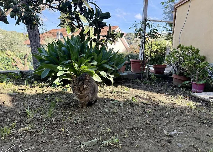 Host4u - Casa Con Giardino E Parcheggio Privato - Casa Carla *